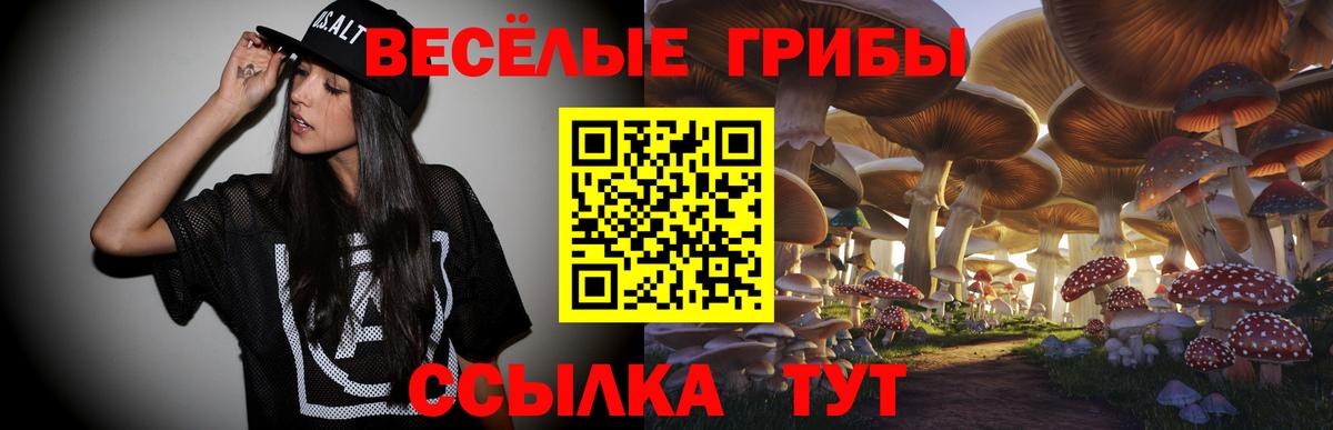 Галлюциногенные грибы ЛСД Лениногорск